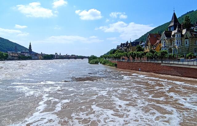 HD | Foto: Henning Belle