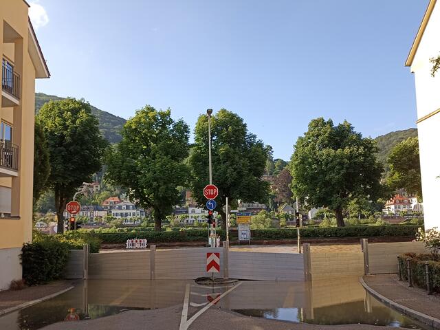 HD | Foto: Henning Belle