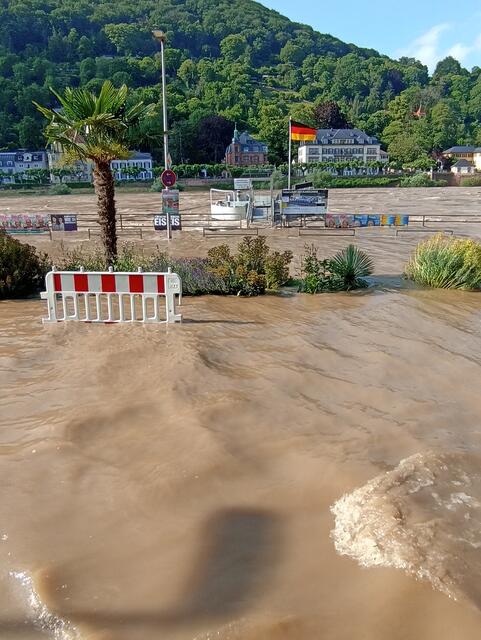 HD | Foto: Henning Belle