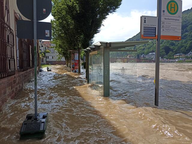 HD | Foto: Henning Belle