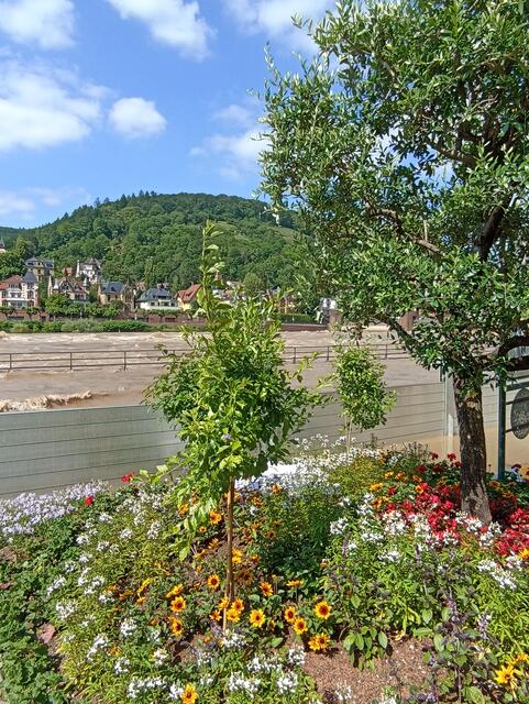 HD | Foto: Henning Belle