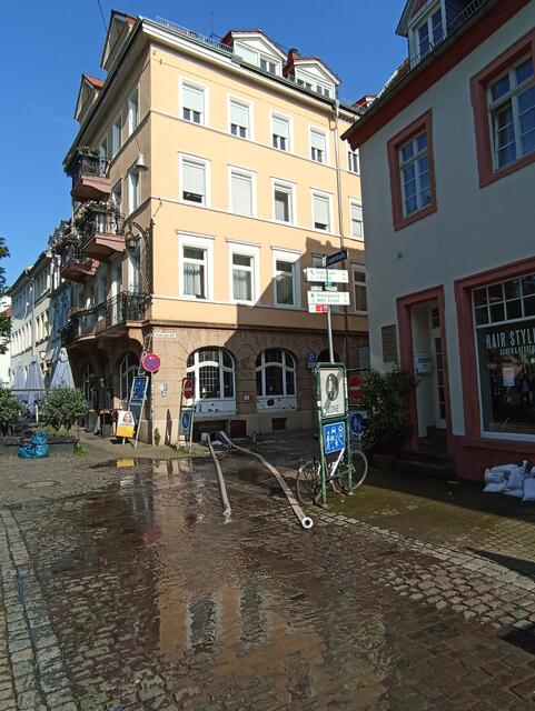 HD | Foto: Henning Belle