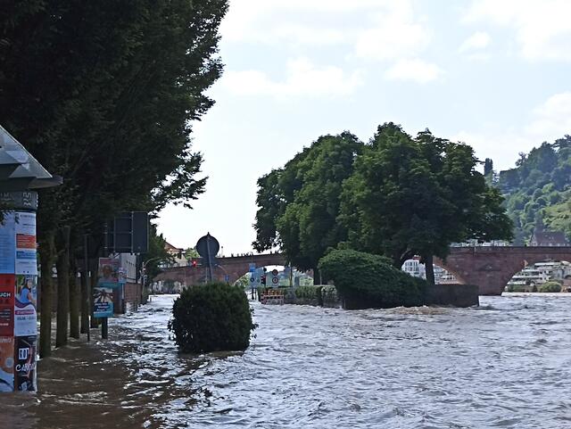 HD | Foto: Henning Belle