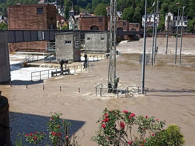 HD | Foto: Henning Belle