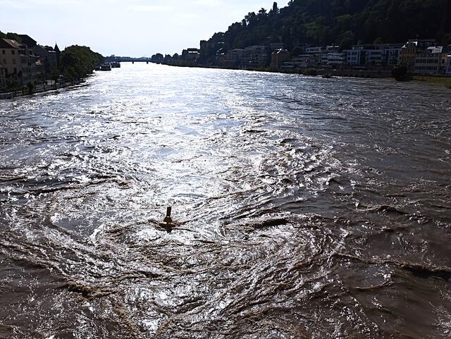 HD | Foto: Henning Belle