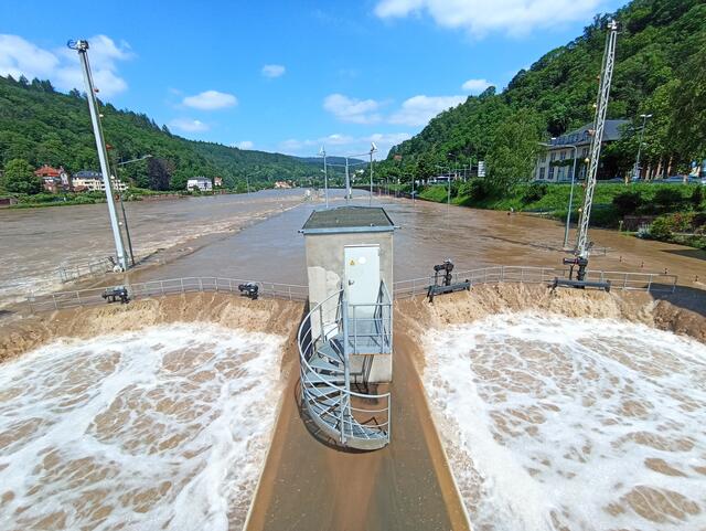 HD | Foto: Henning Belle