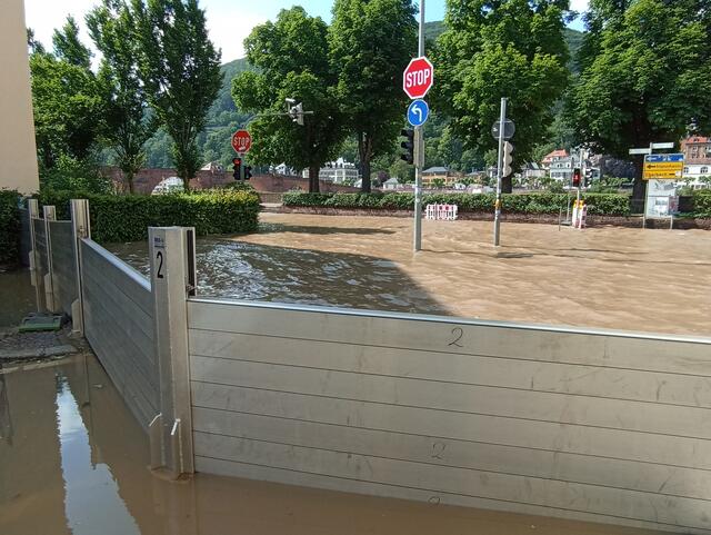 HD | Foto: Henning Belle