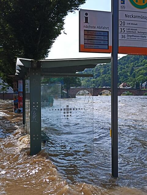 HD | Foto: Henning Belle