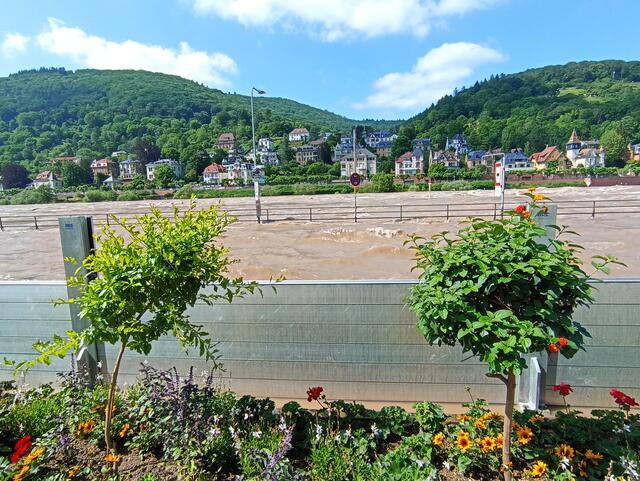 HD | Foto: Henning Belle