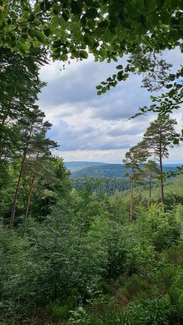 Aussicht | Foto: Ich