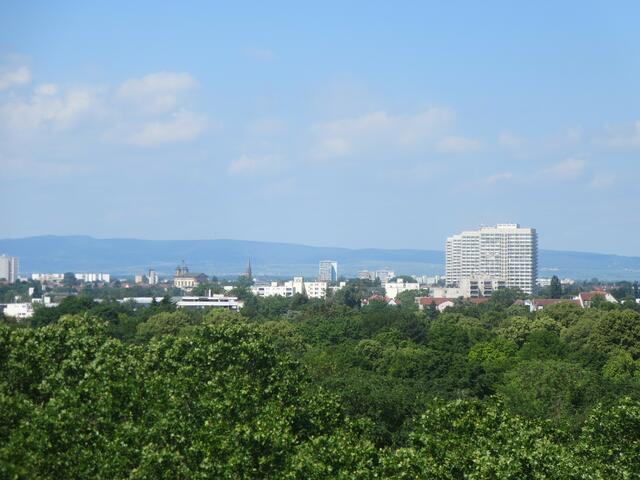 Sicht nach Oggersheim und den bewaldeten Kamm des Pfälzerwalds | Foto: Julia Glöckner
