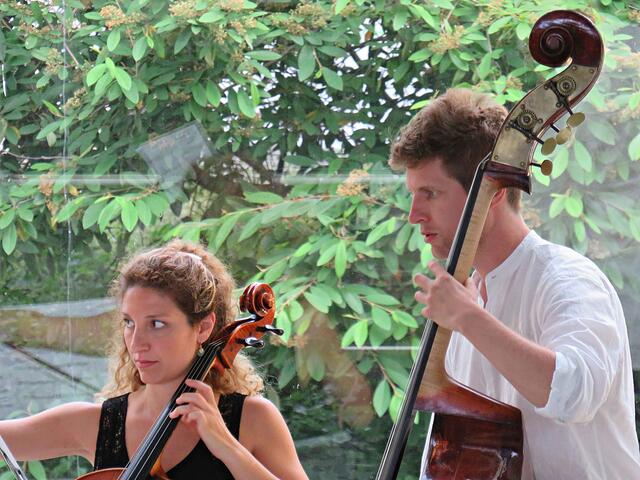 Impressionen mit Kontrabaß | Foto: Brigitte Melder