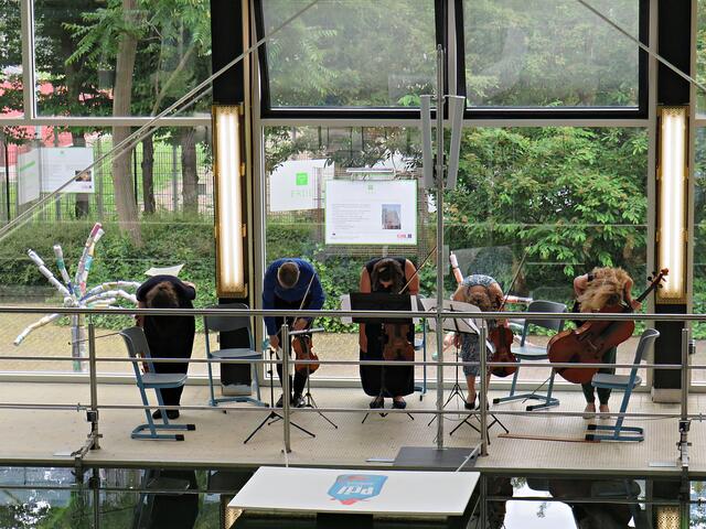 Impressionen | Foto: Brigitte Melder