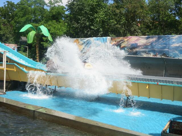 Wildwasserbahn Big Splash | Foto: Julia Glöckner
