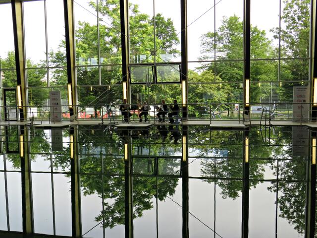 Was für eine tolle Spiegelung! | Foto: Brigitte Melder