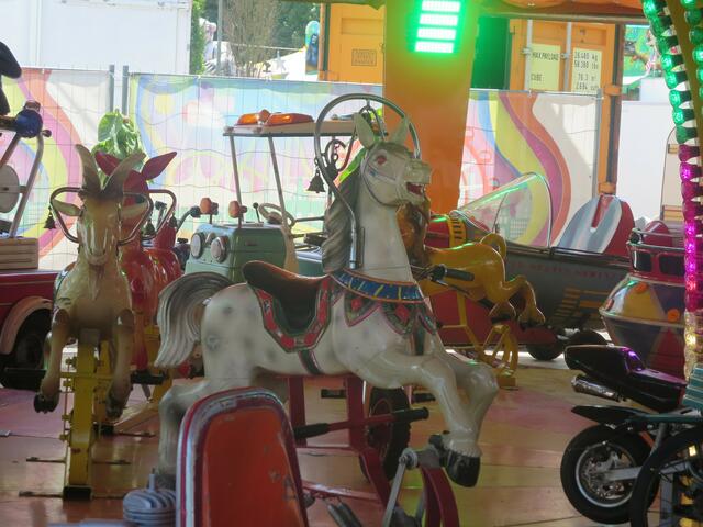 Foto: Julia Glöckner