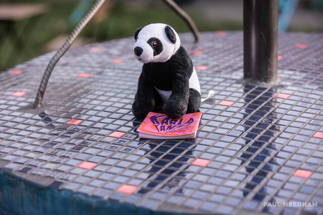 Karla Tanzt - FLINTA* Festival Karlsruhe | Foto: Paul Needham