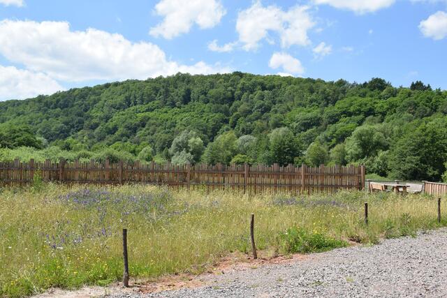 Naturnahes Außengelände | Foto: B. Bender