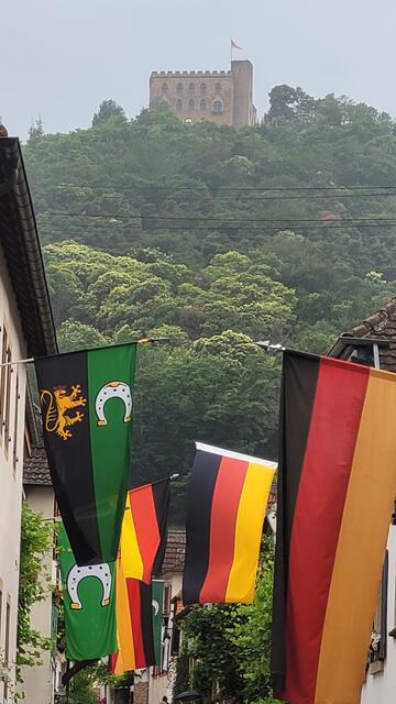 Die Schlossstraße mit ihrem wunderbaren Blick zum Hambacher Schloss im Fahnenmeer | Foto: Markus Pacher