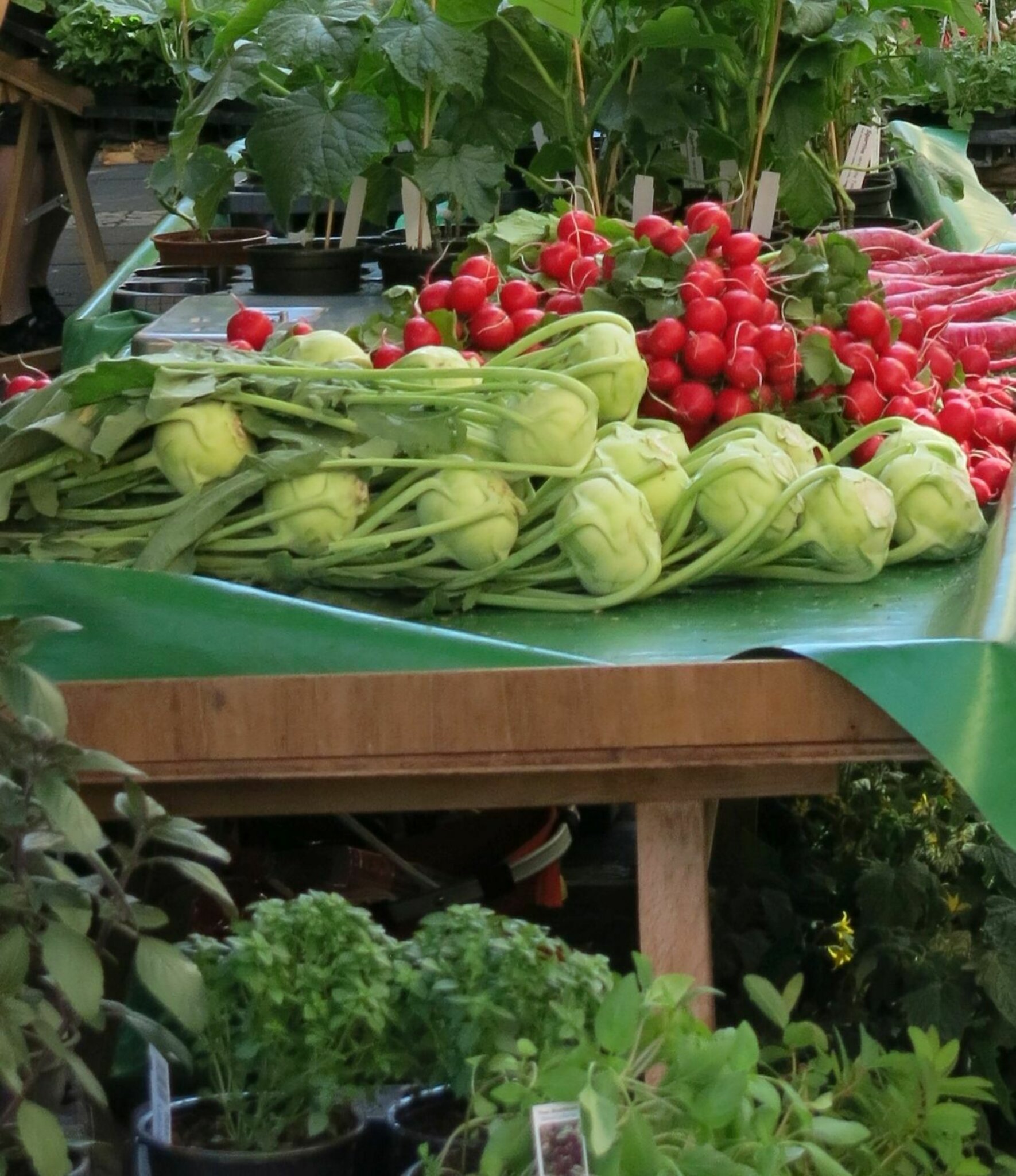 Laut(r)er grüne Ideen: Info-Abend - Wie schmeckt die Zukunft ...