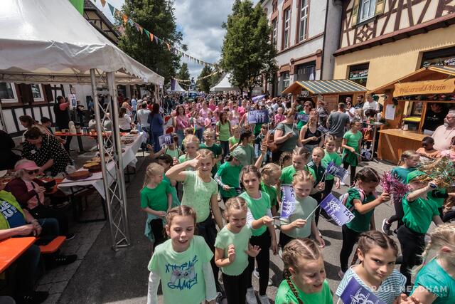 Heimatfest zum Ortsjubiläum - 1250 Jahre Rülzheim | Foto: Paul Needham