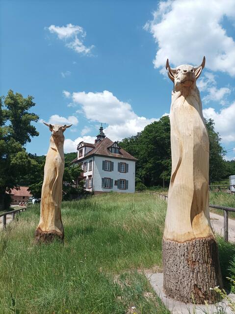 Rothenhof | Foto: M. Schindler