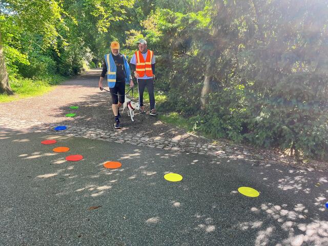 Bilderbogen vom #160 Speyer Leinpfad parkrun am 15. Juni 2024. | Foto: Speyer Leinpfad parkrun