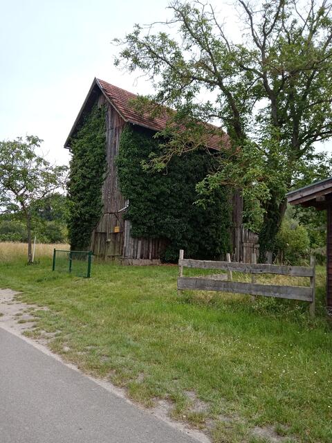 Foto: Gunter Bohrer