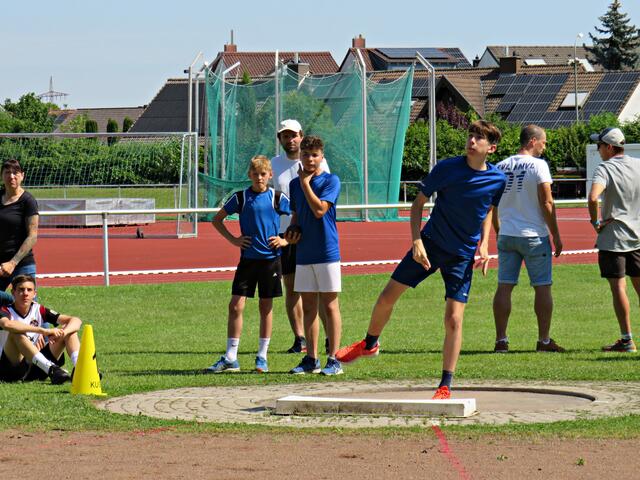 Wo fliegt sie denn? | Foto: Brigitte Melder