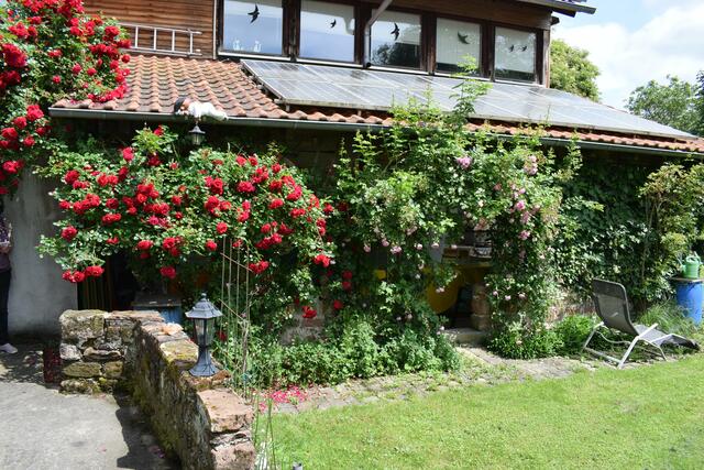 Wunderschöner Museums-Garten | Foto: Bender