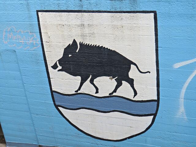 Wappentier, der Eber | Foto: Brigitte Melder