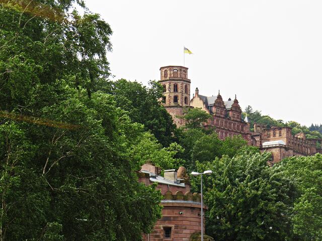 Blick auf das Heidelberger Schloss | Foto: Brigitte Melder