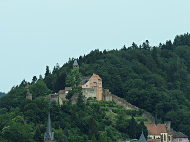 Impressionen durch die Busscheibe | Foto: Brigitte Melder