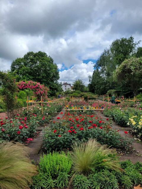 Fest der 1000 Lichter im Rosengarten Zweibrücken mit Brass Machine  | Foto: Barbara Vollmer
