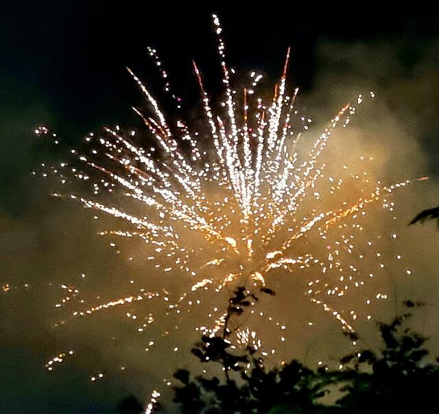 Fest der 1000 Lichter im Rosengarten Zweibrücken mit Brass Machine  | Foto: Jens Vollmer 