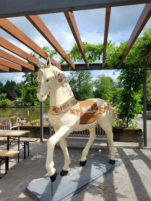 Fest der 1000 Lichter im Rosengarten Zweibrücken mit Brass Machine  | Foto: Barbara Vollmer