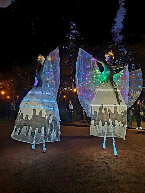 Fest der 1000 Lichter im Rosengarten Zweibrücken mit Brass Machine  | Foto: Barbara Vollmer