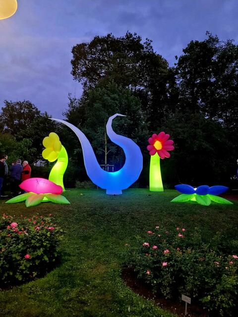 Fest der 1000 Lichter im Rosengarten Zweibrücken mit Brass Machine  | Foto: Barbara Vollmer