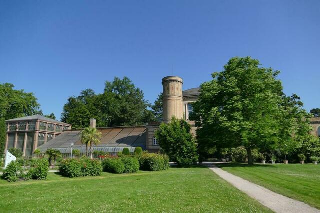 Botanischer Garten Karlsruhe | Foto: Marlene Deck