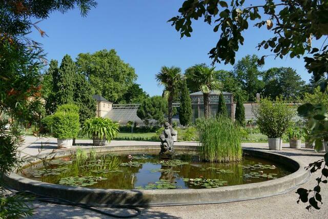 Botanischer Garten Karlsruhe | Foto: Marlene Deck