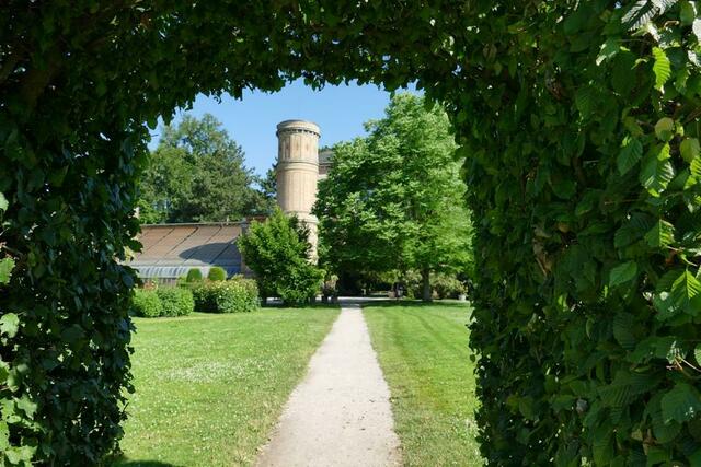 Botanischer Garten Karlsruhe | Foto: Marlene Deck