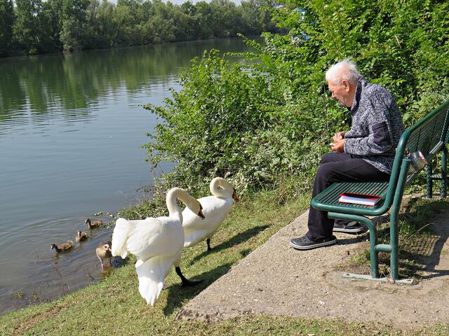 Impressionen | Foto: Brigitte Melder