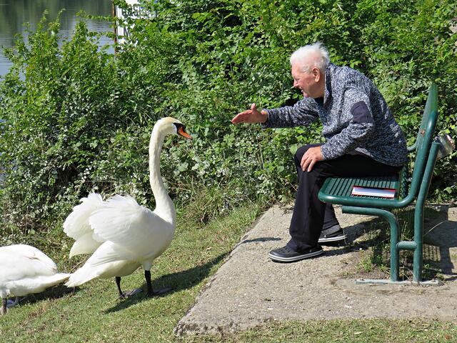 Impressionen | Foto: Brigitte Melder