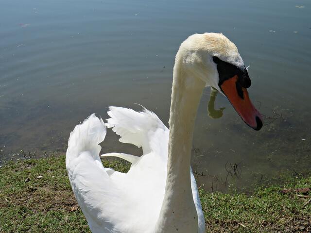 Impressionen | Foto: Brigitte Melder