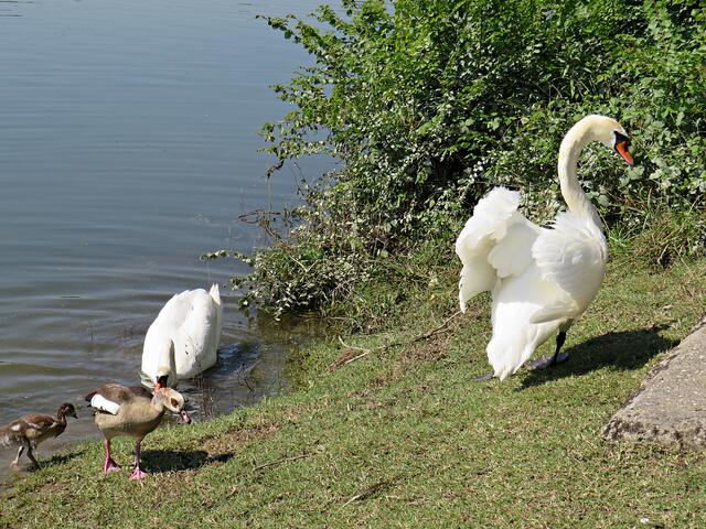 Impressionen | Foto: Brigitte Melder