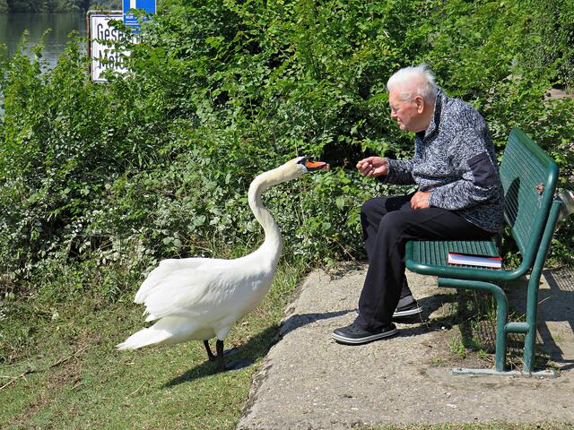Impressionen | Foto: Brigitte Melder