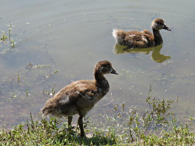 Impressionen | Foto: Brigitte Melder