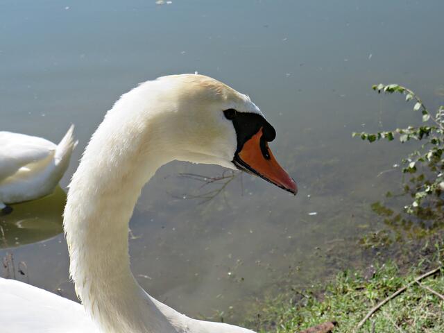 Impressionen | Foto: Brigitte Melder