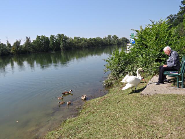 Impressionen | Foto: Brigitte Melder