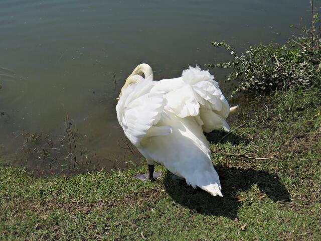 Impressionen: Zwei in eins praktisch | Foto: Brigitte Melder